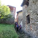 Sentiero funghi (69).JPG